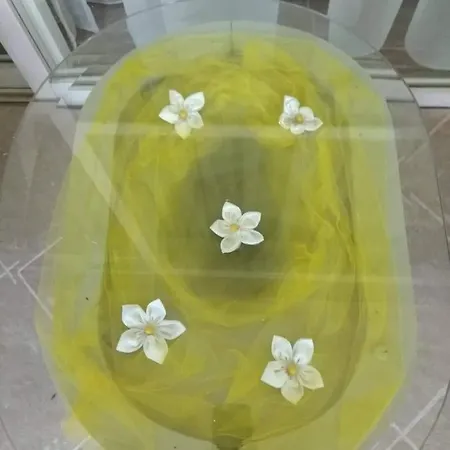 Ntaliani Panagiota Anastasia 乡村民宿 *